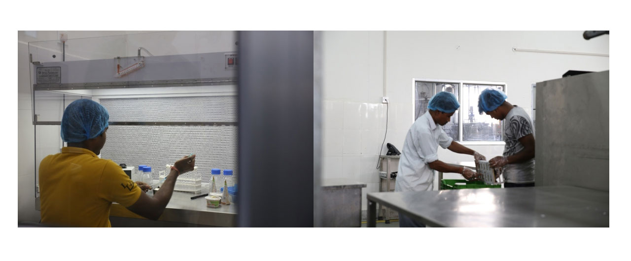 Dev Milk Foods plant