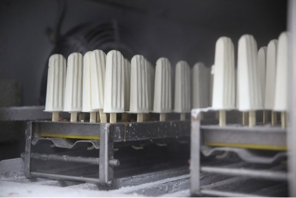 Extraction — Frubon plant, Jaipur