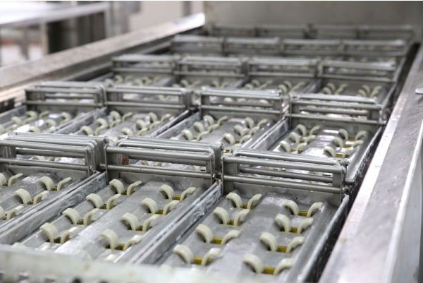 Moulding line — Frubon plant